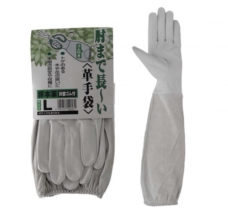 肘まで長～い革手袋