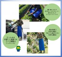 W302-2　カッパ巻き さび抜き 花紺