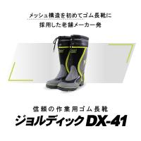 DX-41　ジョルディック