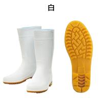 201　丸五　プロハークス