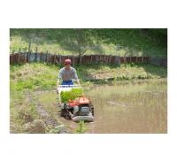 4630 軽快ソフト　先丸